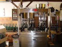 Binden und schneiden der Weinberge